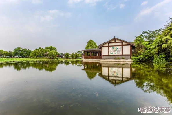 娱乐全明星艺人成长攻略：全方位解析升级途径与职业发展策略